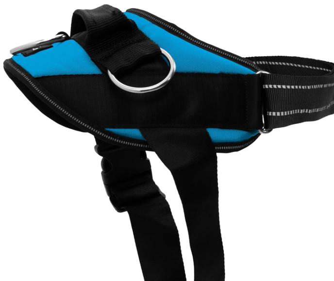 Essential Dog Harness, No-Pull Pet Vest with 3 Leash Clips, No Choke, Reflective, Adjustable and Padded, for Easy Walking