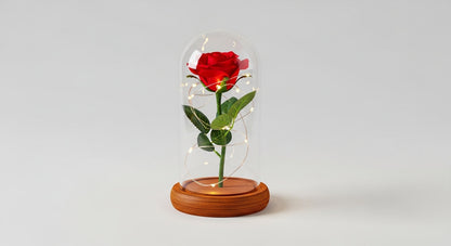 Preserved Rose in Glass Dome with LED Wooden Base – Romantic Keepsake Gift