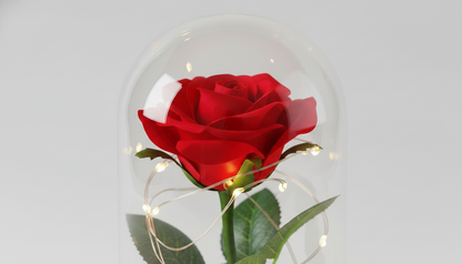 Preserved Rose in Glass Dome with LED Wooden Base – Romantic Keepsake Gift