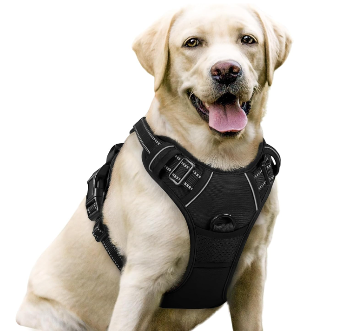 Dog Harness, No Pull for Large Dogs with 2 Leash Clips, Pet Vest  Adjustable Soft Padded